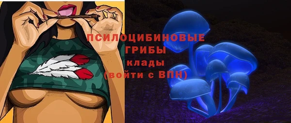 крисы Алексин