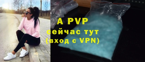 крисы Алексин