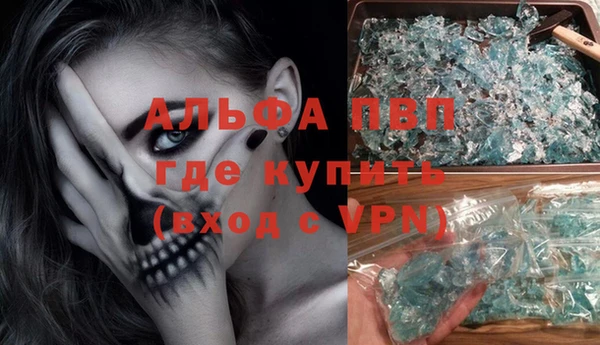 крисы Алексин