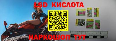 стаф Гатчина