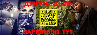 стаф Гатчина
