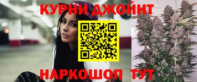 стаф Гатчина