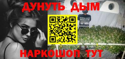 стаф Гатчина