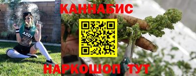 стаф Гатчина