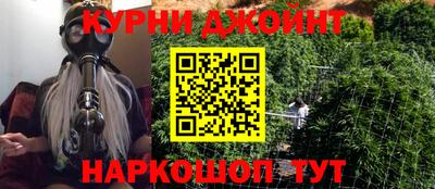 стаф Гатчина