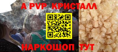 стаф Гатчина