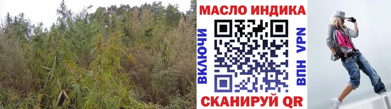 где купить   Саянск  кракен сайт  ТГК вейп 