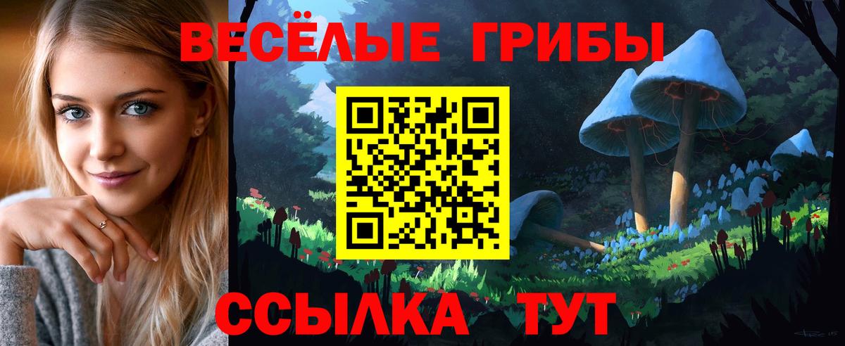 Галлюциногенные грибы Cubensis  Вход с VPN  Саянск 