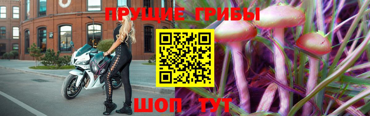 Псилоцибиновые грибы Psilocybe Саянск