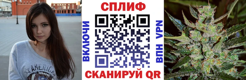 Конопля гибрид  Саянск 